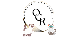 Oswestry Cat Rescue